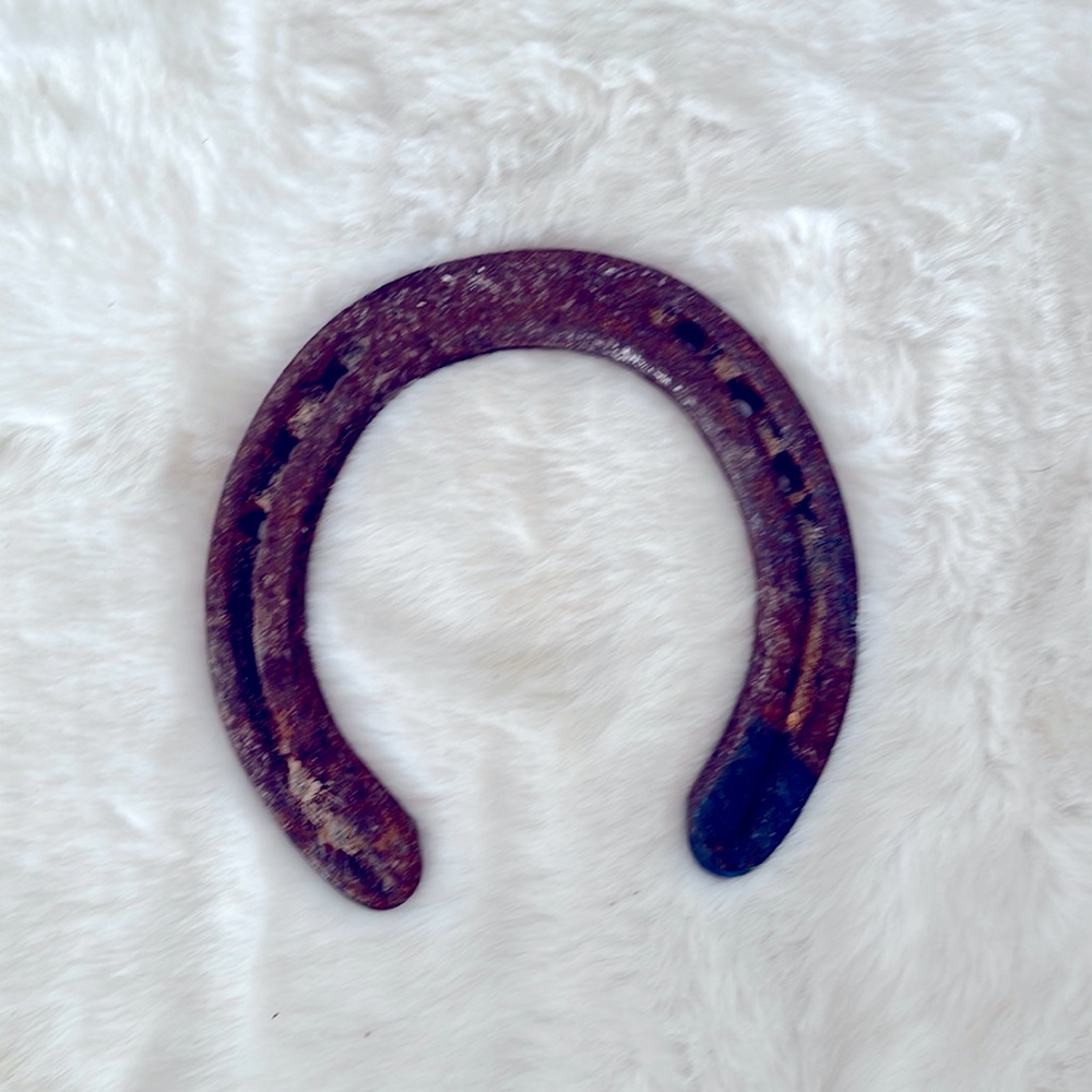 Vintage Horseshoe